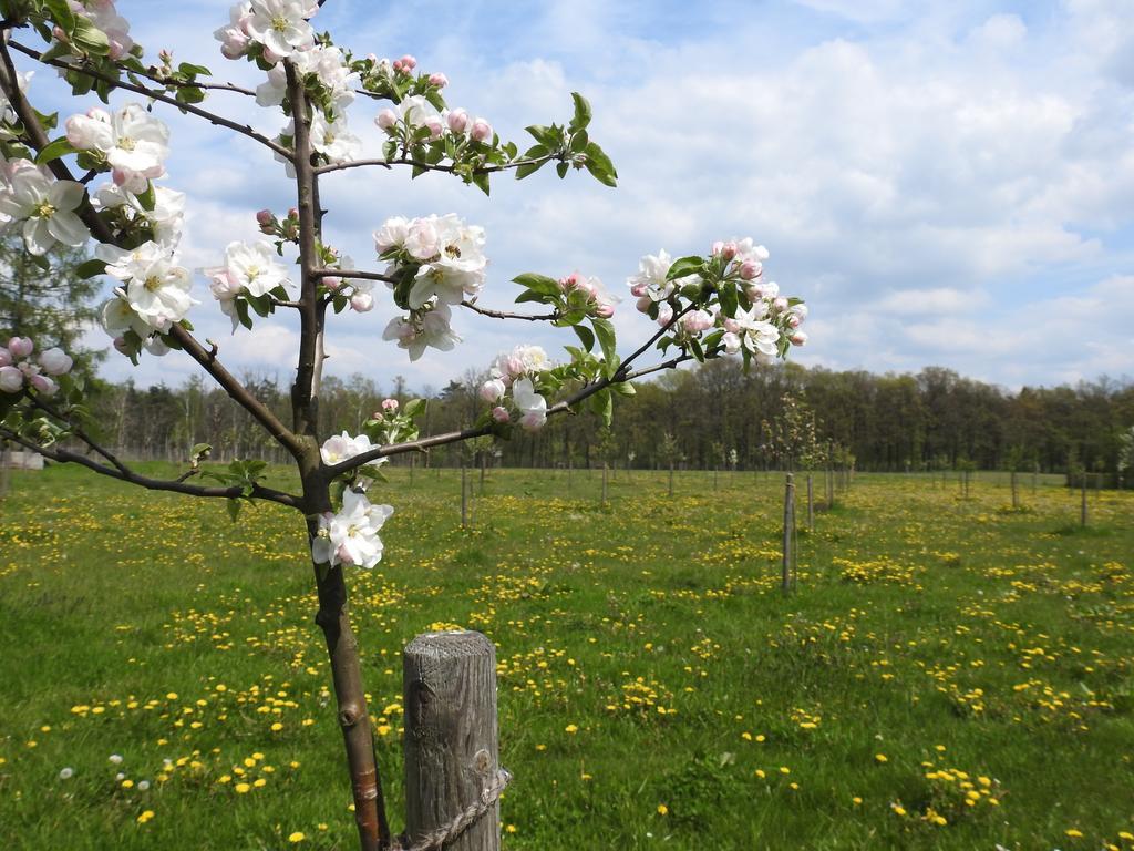 Ferienhof Olbasee Kleinsaubernitz Dış mekan fotoğraf